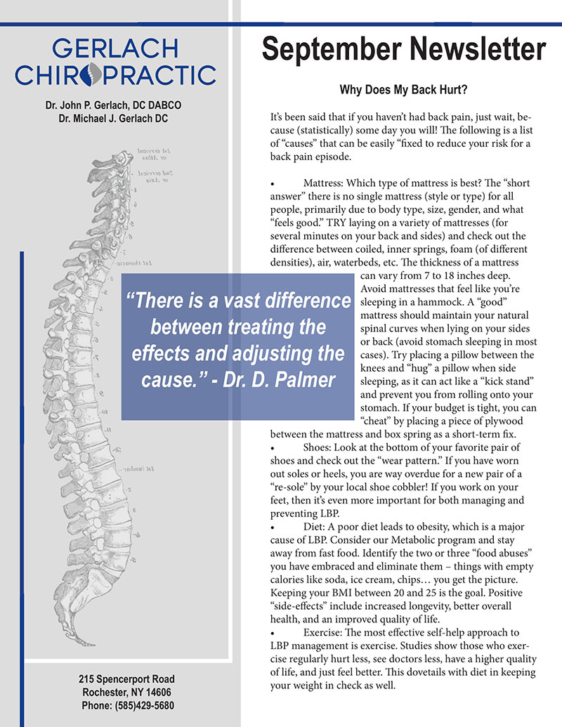 Chiropractic Rochester NY September Newsletter 1